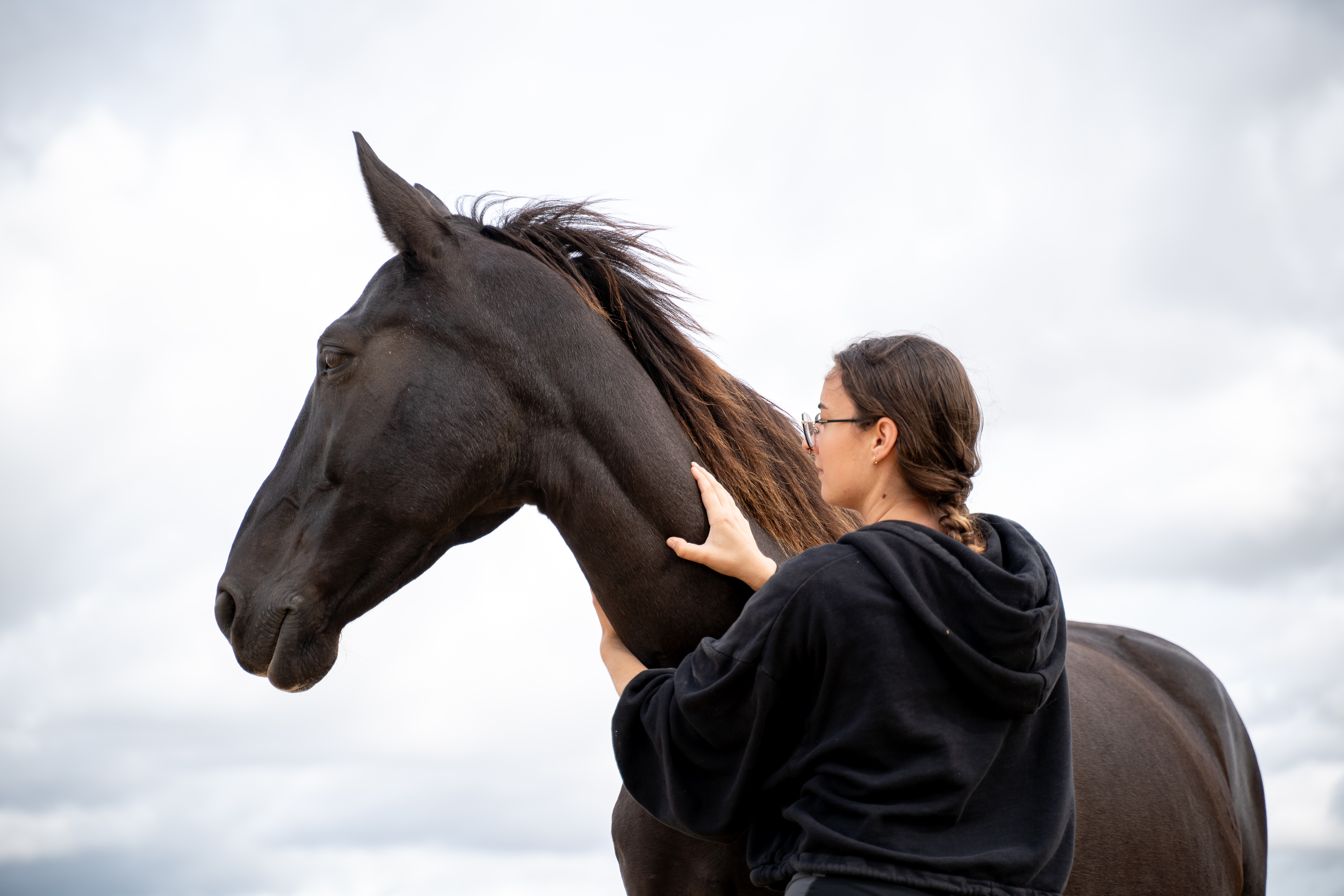 Massage animalier professionnel